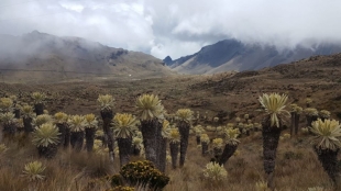Imagen Volcán Chiles